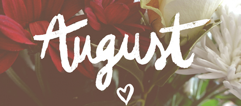 Newsletter – August 2024